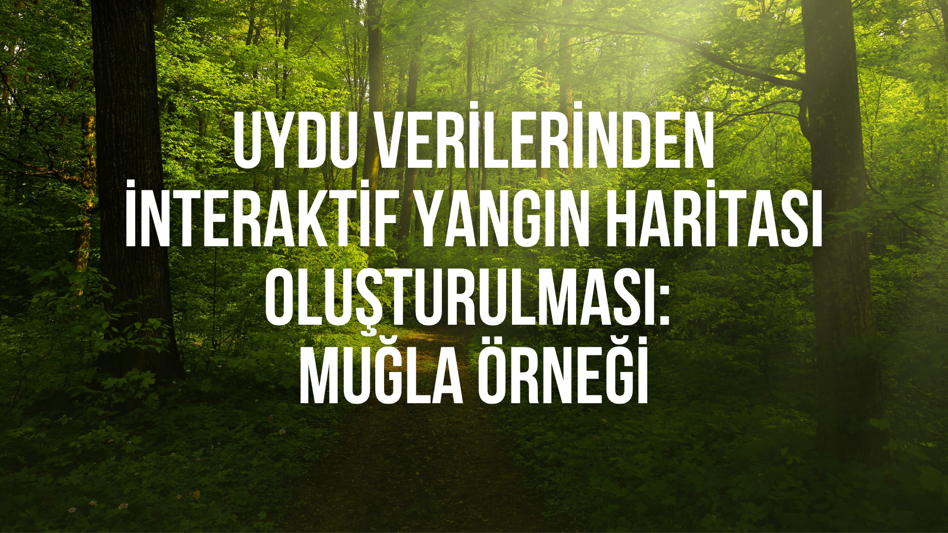 Muğla Afet Haritası